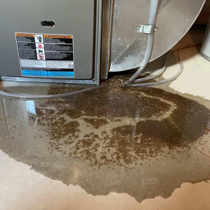 Appliance Leak Cleanup in Sun Valley, ID